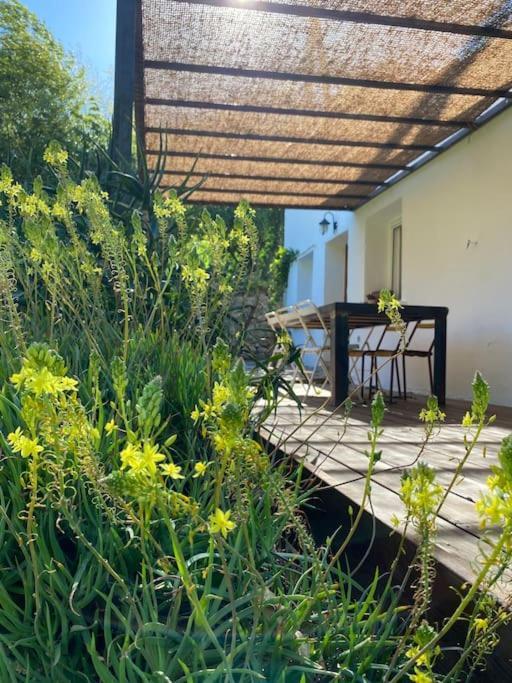 La Maison De Juliette Céret Exteriér fotografie